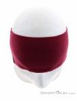 Salewa Cristallo Headband, , Pink, , Male,Female,Unisex, 0032-11140, 5637993599, , N4-04.jpg