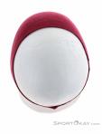 Salewa Cristallo Headband, , Pink, , Male,Female,Unisex, 0032-11140, 5637993599, , N4-14.jpg