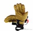 Salewa Ortles AM Leather Women Gloves, Salewa, Black, , Female, 0032-11265, 5637994585, 4053866463997, N2-12.jpg