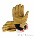 Salewa Ortles AM Leather Mens Gloves, Salewa, Black, , Male, 0032-11267, 5637994599, 4053866449908, N1-11.jpg