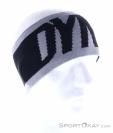 Dynafit Light Logo Headband, Dynafit, Gray, , Male,Female,Unisex, 0015-11474, 5637998243, 4053866314879, N2-02.jpg