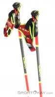 Leki WCR SL 3D Bâtons de ski, , Rouge, , Hommes,Femmes,Unisex, 0012-10444, 5637999813, , N3-13.jpg