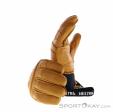 Hestra Fall Line Gloves, , Brown, , Male,Female,Unisex, 0398-10028, 5638012762, , N1-06.jpg