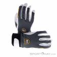 Hestra Ergo Grip Active GTX Gloves Gore-Tex, Hestra, Gray, , Male,Female,Unisex, 0398-10004, 5638013378, 7332904055835, N2-02.jpg