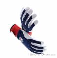 Hestra Ergo Grip Active GTX Gloves Gore-Tex, Hestra, Dark-Blue, , Male,Female,Unisex, 0398-10004, 5638013384, 7332540792293, N4-04.jpg