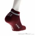 CEP Run Compression Socks Low Cut Donna Calze da Corsa, , Rosso scuro, , Donna, 0052-10030, 5638015512, , N1-16.jpg