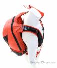 Dynafit Speed 20l Ski Touring Backpack, , Red, , Male,Female,Unisex, 0015-11496, 5638017751, , N3-08.jpg