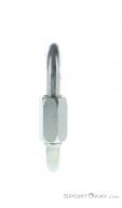 Edelrid Screwlink 8mm Carabiner, , Silver, , Male,Female,Unisex, 0084-10436, 5638018407, , N1-06.jpg
