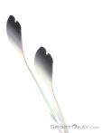 Dynafit Seven Summits W Women Touring Skis 2024, Dynafit, Blue, , Female, 0015-11510, 5638018590, 4046402086613, N4-14.jpg