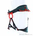 Wild Country Session Mens Climbing Harness, Wild Country, Green, , Male, 0243-10066, 5638018741, 4053866181006, N1-06.jpg