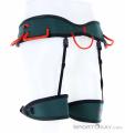 Wild Country Session Mens Climbing Harness, Wild Country, Green, , Male, 0243-10066, 5638018741, 4053866181006, N1-11.jpg