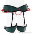 Wild Country Session Mens Climbing Harness, Wild Country, Green, , Male, 0243-10066, 5638018741, 4053866181006, N2-12.jpg