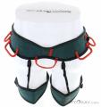 Wild Country Session Mens Climbing Harness, , Green, , Male, 0243-10066, 5638018741, , N3-13.jpg