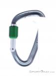 Wild Country Eos Screwgate Carabiner, Wild Country, Silver, , Male,Female,Unisex, 0243-10130, 5638020157, 5033286111035, N1-11.jpg