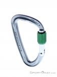 Wild Country Eos Screwgate Carabiner, Wild Country, Silver, , Male,Female,Unisex, 0243-10130, 5638020157, 5033286111035, N2-02.jpg