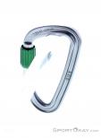 Wild Country Eos Screwgate Carabiner, Wild Country, Silver, , Male,Female,Unisex, 0243-10130, 5638020157, 5033286111035, N2-12.jpg