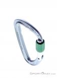 Wild Country Eos Screwgate Carabiner, Wild Country, Silver, , Male,Female,Unisex, 0243-10130, 5638020157, 5033286111035, N3-03.jpg