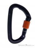 Wild Country Session Screw Gate Carabiner, Wild Country, Black, , Male,Female,Unisex, 0243-10132, 5638020170, 4053866412513, N1-01.jpg