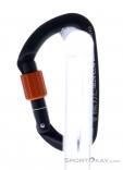 Wild Country Session Screw Gate Carabiner, Wild Country, Black, , Male,Female,Unisex, 0243-10132, 5638020170, 4053866412513, N1-11.jpg