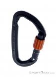 Wild Country Session Screw Gate Carabiner, Wild Country, Black, , Male,Female,Unisex, 0243-10132, 5638020170, 4053866412513, N2-02.jpg