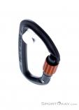 Wild Country Session Screw Gate Carabiner, Wild Country, Black, , Male,Female,Unisex, 0243-10132, 5638020170, 4053866412513, N3-03.jpg