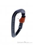 Wild Country Session Screw Gate Carabiner, Wild Country, Black, , Male,Female,Unisex, 0243-10132, 5638020170, 4053866412513, N3-18.jpg