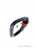 Wild Country Session Screw Gate Carabiner, Wild Country, Black, , Male,Female,Unisex, 0243-10132, 5638020170, 4053866412513, N4-19.jpg