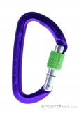 Wild Country Session Screw Gate Carabiner, Wild Country, Purple, , Male,Female,Unisex, 0243-10132, 5638020171, 4053866159418, N1-01.jpg