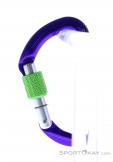 Wild Country Session Screw Gate Carabiner, Wild Country, Purple, , Male,Female,Unisex, 0243-10132, 5638020171, 4053866159418, N1-11.jpg