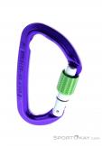 Wild Country Session Screw Gate Carabiner, Wild Country, Purple, , Male,Female,Unisex, 0243-10132, 5638020171, 4053866159418, N2-02.jpg