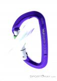 Wild Country Session Screw Gate Carabiner, Wild Country, Purple, , Male,Female,Unisex, 0243-10132, 5638020171, 4053866159418, N2-12.jpg