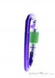Wild Country Session Screw Gate Carabiner, Wild Country, Purple, , Male,Female,Unisex, 0243-10132, 5638020171, 4053866159418, N2-17.jpg