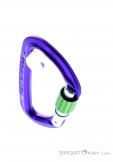 Wild Country Session Screw Gate Carabiner, Wild Country, Purple, , Male,Female,Unisex, 0243-10132, 5638020171, 4053866159418, N3-03.jpg