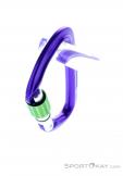Wild Country Session Screw Gate Carabiner, Wild Country, Purple, , Male,Female,Unisex, 0243-10132, 5638020171, 4053866159418, N3-08.jpg