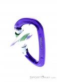 Wild Country Session Screw Gate Carabiner, Wild Country, Purple, , Male,Female,Unisex, 0243-10132, 5638020171, 4053866159418, N3-13.jpg