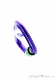 Wild Country Session Screw Gate Carabiner, Wild Country, Purple, , Male,Female,Unisex, 0243-10132, 5638020171, 4053866159418, N4-04.jpg