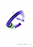 Wild Country Session Screw Gate Carabiner, Wild Country, Purple, , Male,Female,Unisex, 0243-10132, 5638020171, 4053866159418, N4-09.jpg