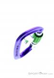 Wild Country Session Screw Gate Carabiner, Wild Country, Purple, , Male,Female,Unisex, 0243-10132, 5638020171, 4053866159418, N4-19.jpg