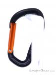 Wild Country Electron Straight Gate Carabiner, Wild Country, Black, , Male,Female,Unisex, 0243-10133, 5638020172, 4053866308885, N1-11.jpg
