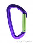Wild Country Session Straight Gate Carabiner, Wild Country, Purple, , Male,Female,Unisex, 0243-10135, 5638020174, 4053866159395, N1-01.jpg