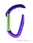 Wild Country Session Straight Gate Carabiner, Wild Country, Purple, , Male,Female,Unisex, 0243-10135, 5638020174, 4053866159395, N1-11.jpg