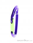 Wild Country Session Straight Gate Carabiner, Wild Country, Purple, , Male,Female,Unisex, 0243-10135, 5638020174, 4053866159395, N2-07.jpg