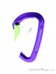 Wild Country Session Straight Gate Carabiner, Wild Country, Purple, , Male,Female,Unisex, 0243-10135, 5638020174, 4053866159395, N2-12.jpg