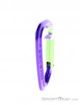 Wild Country Session Straight Gate Carabiner, Wild Country, Purple, , Male,Female,Unisex, 0243-10135, 5638020174, 4053866159395, N2-17.jpg