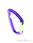 Wild Country Session Straight Gate Carabiner, Wild Country, Purple, , Male,Female,Unisex, 0243-10135, 5638020174, 4053866159395, N3-03.jpg
