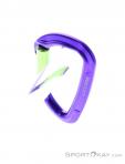Wild Country Session Straight Gate Carabiner, Wild Country, Purple, , Male,Female,Unisex, 0243-10135, 5638020174, 4053866159395, N3-13.jpg