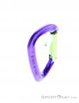 Wild Country Session Straight Gate Carabiner, Wild Country, Purple, , Male,Female,Unisex, 0243-10135, 5638020174, 4053866159395, N3-18.jpg