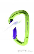 Wild Country Session Bent Gate Carabiner, Wild Country, Green, , Male,Female,Unisex, 0243-10136, 5638020593, 4053866159401, N2-12.jpg
