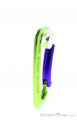 Wild Country Session Bent Gate Carabiner, Wild Country, Green, , Male,Female,Unisex, 0243-10136, 5638020593, 4053866159401, N2-17.jpg