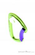 Wild Country Session Bent Gate Carabiner, , Green, , Male,Female,Unisex, 0243-10136, 5638020593, , N3-03.jpg